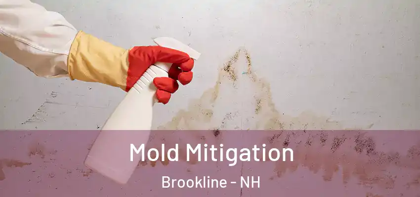 Mold Mitigation Brookline - NH