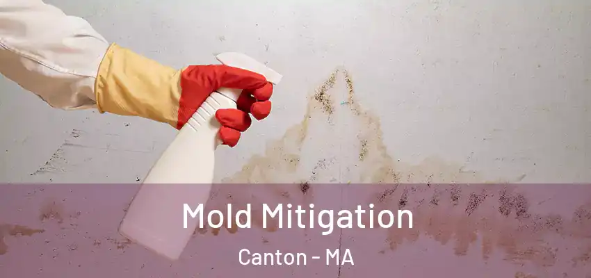  Mold Mitigation Canton - MA