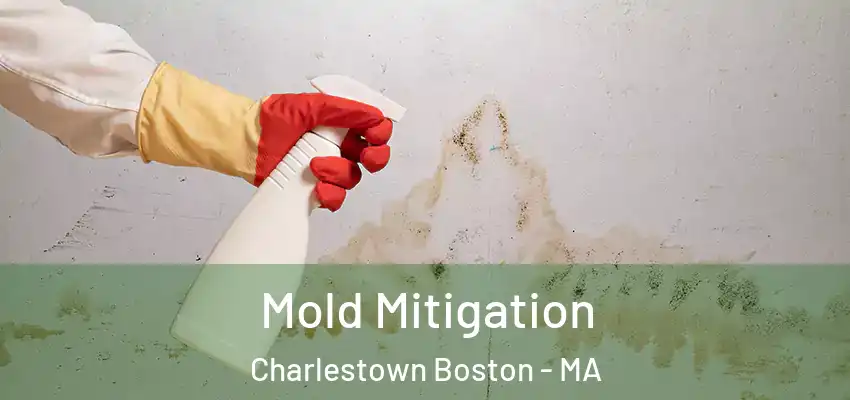 Mold Mitigation Charlestown Boston - MA
