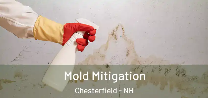  Mold Mitigation Chesterfield - NH