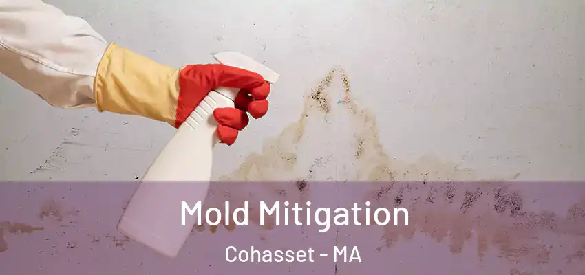Mold Mitigation Cohasset - MA