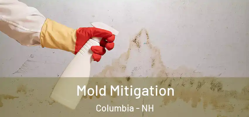 Mold Mitigation Columbia - NH