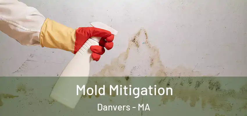 Mold Mitigation Danvers - MA
