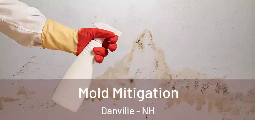 Mold Mitigation Danville - NH