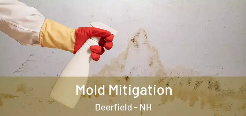 Mold Mitigation Deerfield - NH