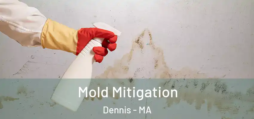  Mold Mitigation Dennis - MA