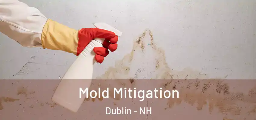  Mold Mitigation Dublin - NH