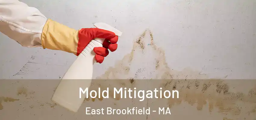  Mold Mitigation East Brookfield - MA