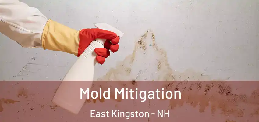 Mold Mitigation East Kingston - NH