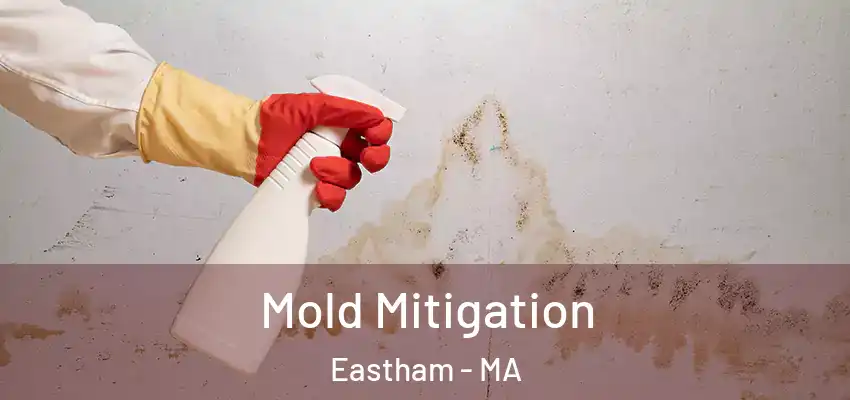  Mold Mitigation Eastham - MA