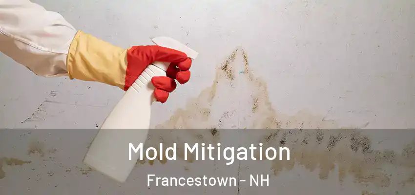 Mold Mitigation Francestown - NH