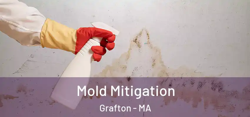 Mold Mitigation Grafton - MA