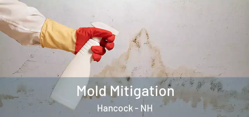  Mold Mitigation Hancock - NH