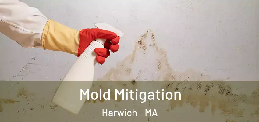 Mold Mitigation Harwich - MA