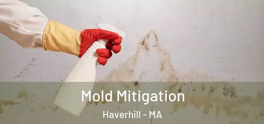  Mold Mitigation Haverhill - MA
