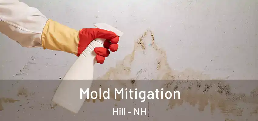  Mold Mitigation Hill - NH