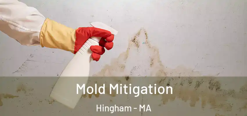 Mold Mitigation Hingham - MA