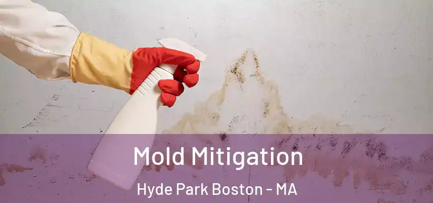  Mold Mitigation Hyde Park Boston - MA