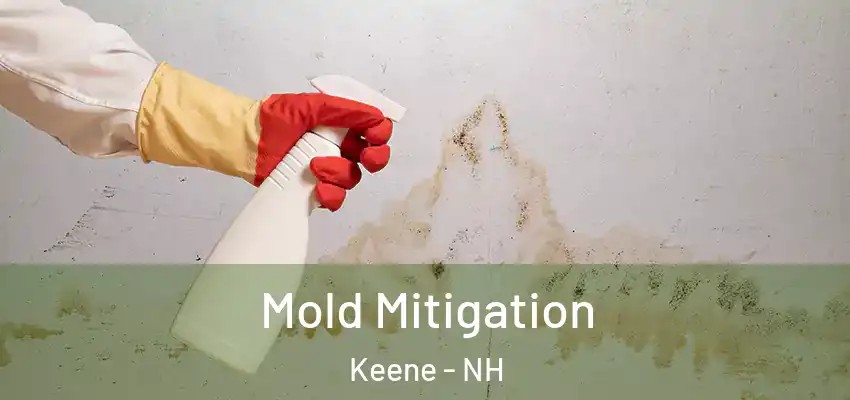  Mold Mitigation Keene - NH