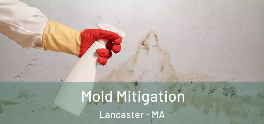 Mold Mitigation Lancaster - MA
