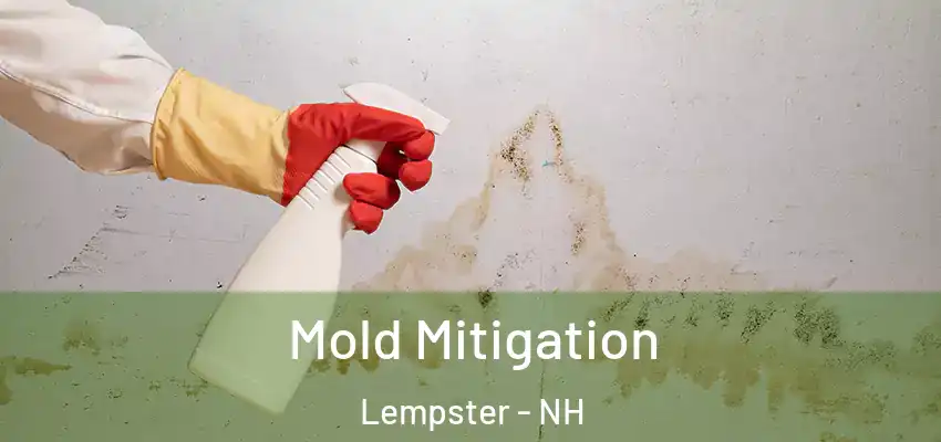 Mold Mitigation Lempster - NH