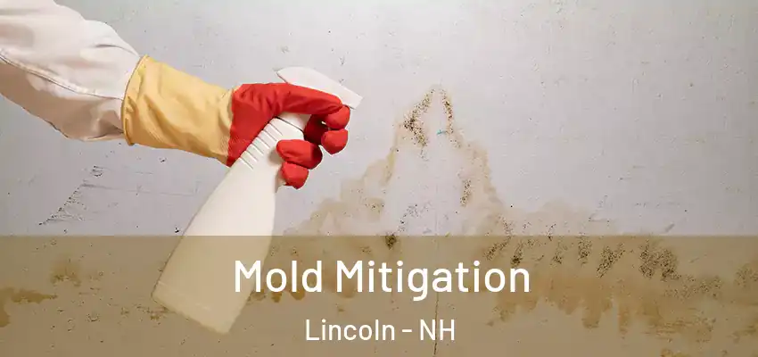 Mold Mitigation Lincoln - NH