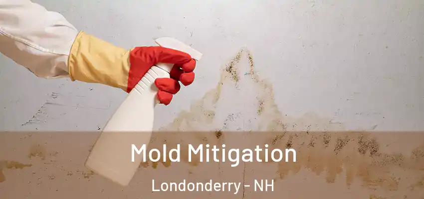 Mold Mitigation Londonderry - NH