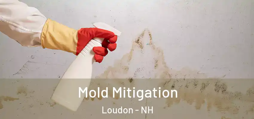 Mold Mitigation Loudon - NH