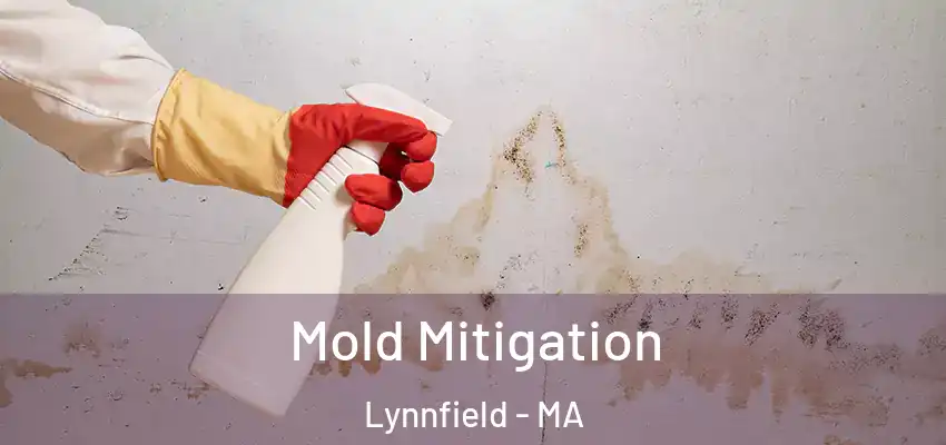  Mold Mitigation Lynnfield - MA
