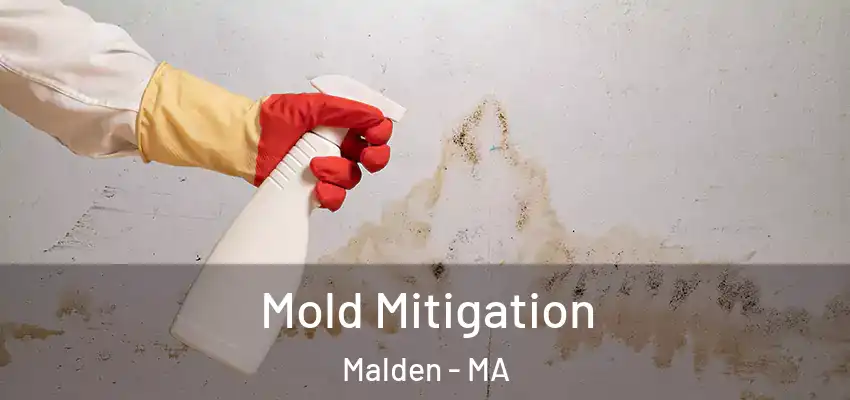  Mold Mitigation Malden - MA