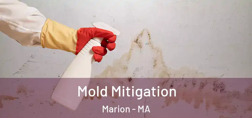  Mold Mitigation Marion - MA
