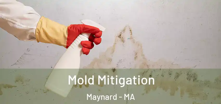 Mold Mitigation Maynard - MA
