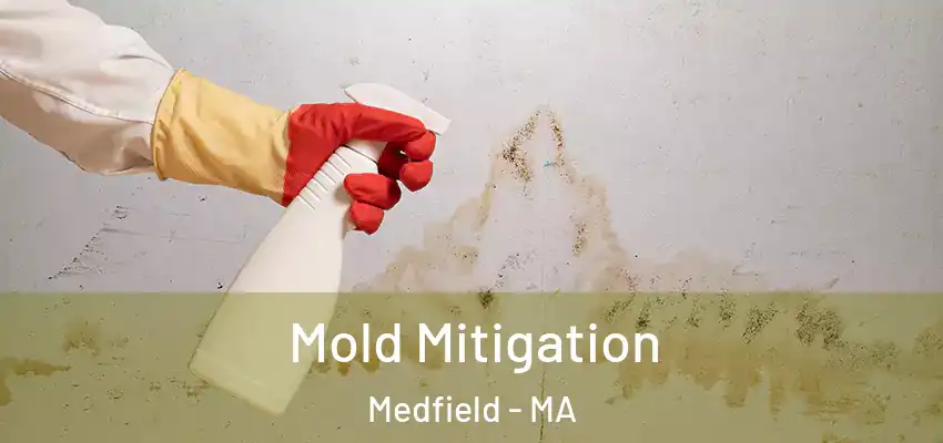  Mold Mitigation Medfield - MA