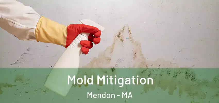  Mold Mitigation Mendon - MA