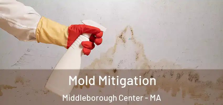  Mold Mitigation Middleborough Center - MA