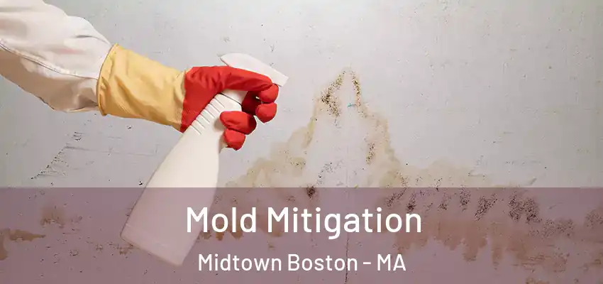 Mold Mitigation Midtown Boston - MA