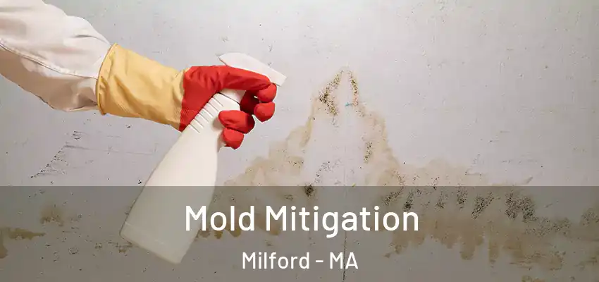 Mold Mitigation Milford - MA