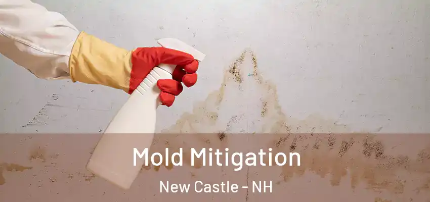  Mold Mitigation New Castle - NH