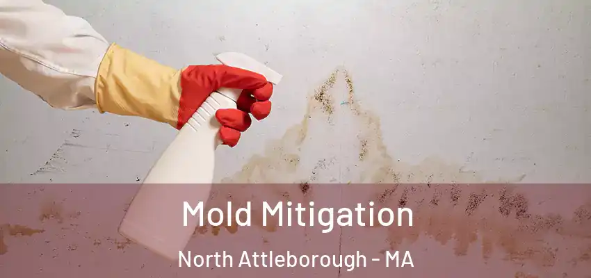  Mold Mitigation North Attleborough - MA
