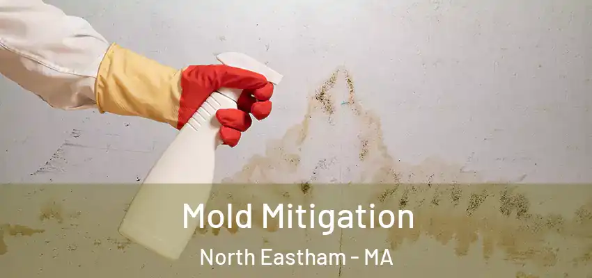  Mold Mitigation North Eastham - MA