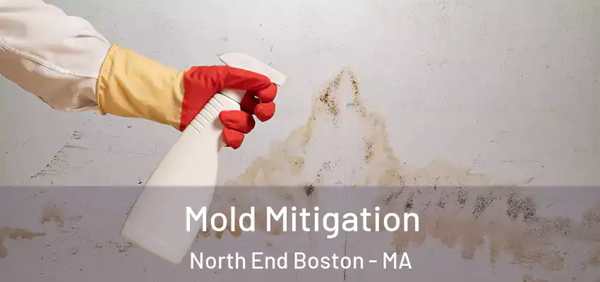  Mold Mitigation North End Boston - MA