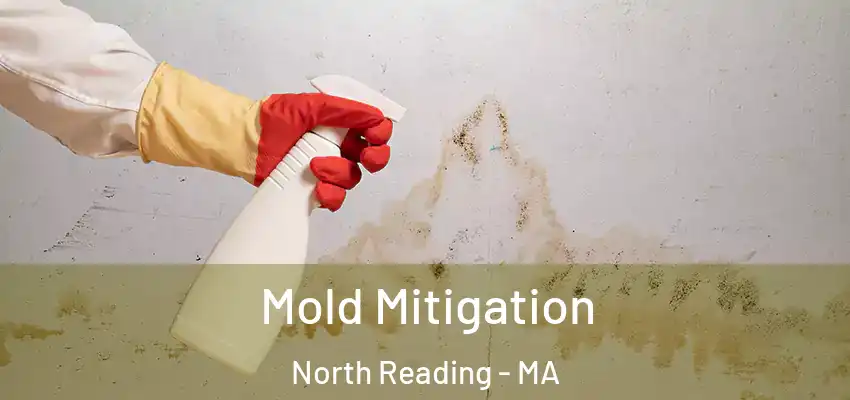  Mold Mitigation North Reading - MA