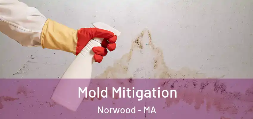 Mold Mitigation Norwood - MA