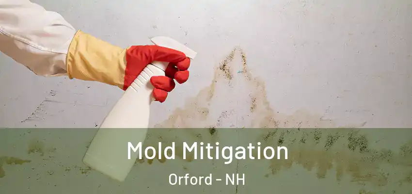 Mold Mitigation Orford - NH