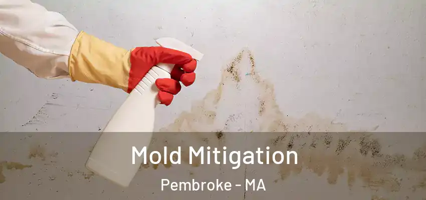  Mold Mitigation Pembroke - MA