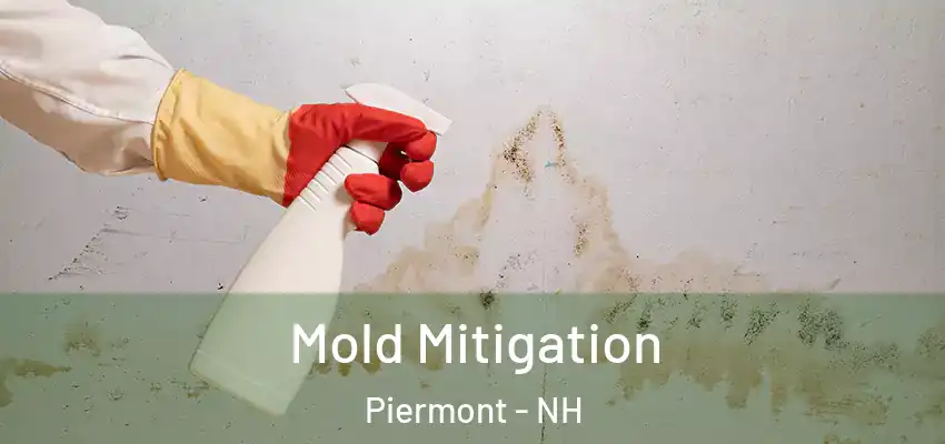 Mold Mitigation Piermont - NH