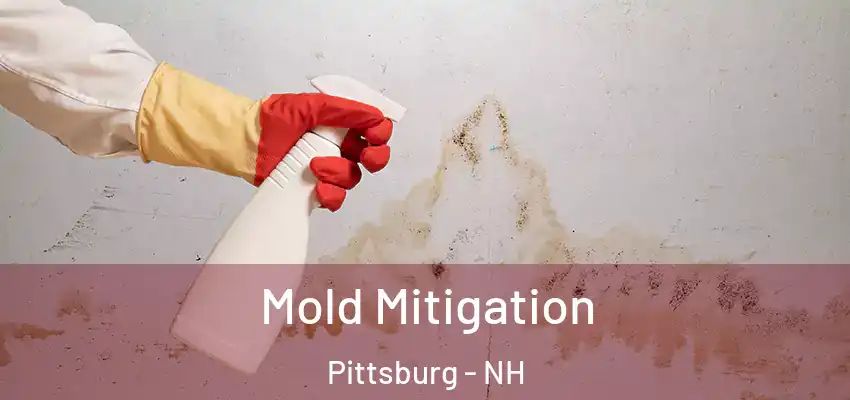 Mold Mitigation Pittsburg - NH