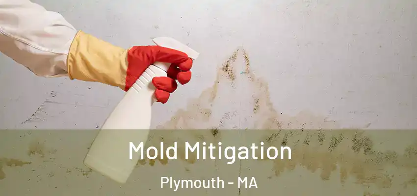 Mold Mitigation Plymouth - MA