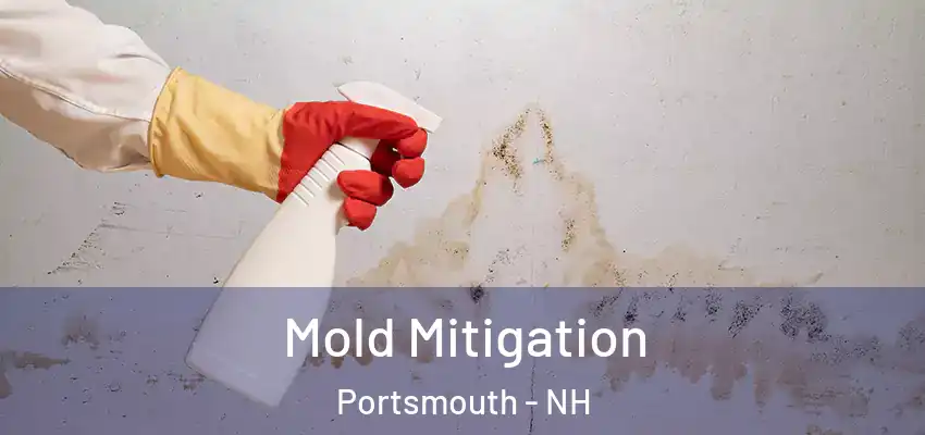 Mold Mitigation Portsmouth - NH