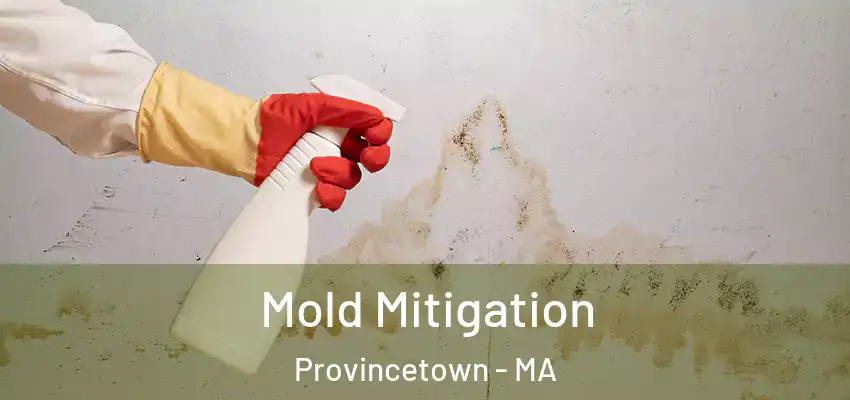 Mold Mitigation Provincetown - MA